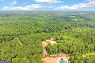 1814 Brewers Mill Rd, Elberton, GA 30635 - Photo 61