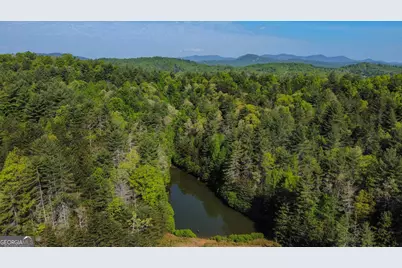 40 Ac #1 Valley Lake Road, Mineral Bluff, GA 30559 - Photo 3