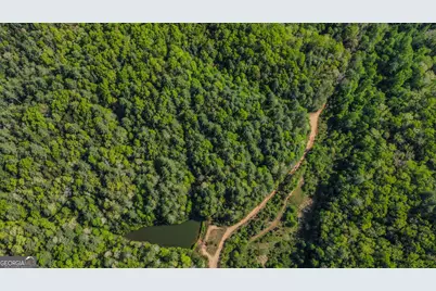 40 Ac #1 Valley Lake Road, Mineral Bluff, GA 30559 - Photo 13
