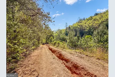 40 Ac #1 Valley Lake Road, Mineral Bluff, GA 30559 - Photo 25