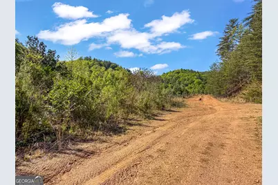 40 Ac #1 Valley Lake Road, Mineral Bluff, GA 30559 - Photo 21
