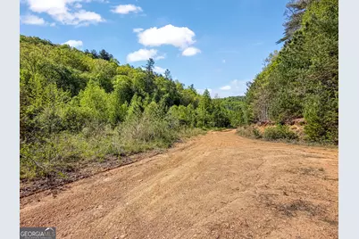 40 Ac #1 Valley Lake Road, Mineral Bluff, GA 30559 - Photo 31