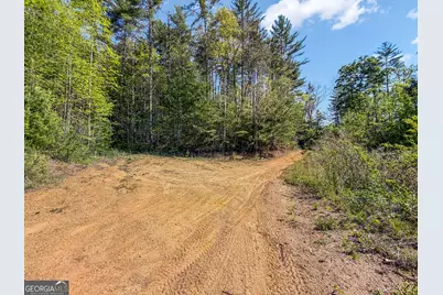 40 Ac #1 Valley Lake Road, Mineral Bluff, GA 30559 - Photo 29