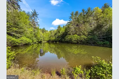 40 Ac #1 Valley Lake Road, Mineral Bluff, GA 30559 - Photo 5
