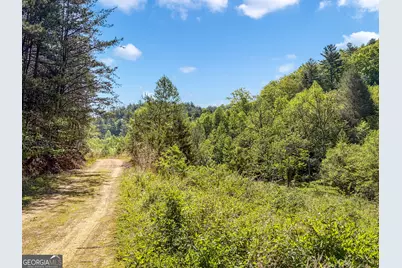 40 Ac #1 Valley Lake Road, Mineral Bluff, GA 30559 - Photo 37