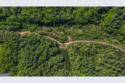 40 Ac #1 Valley Lake Road, Mineral Bluff, GA 30559 - Photo 15