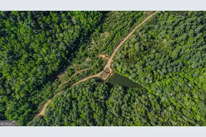40 Ac #1 Valley Lake Road, Mineral Bluff, GA 30559 - Photo 19