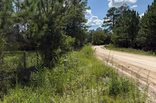 113 Horseshoe Loop, Saint George, GA 31562 - Photo 19