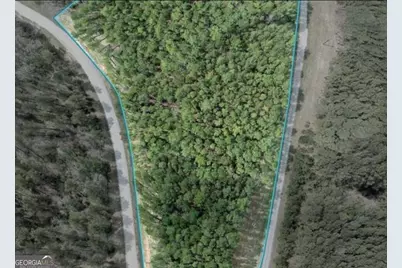 Lot 15T Hornets Bridge Drive, Elberton, GA 30635 - Photo 3