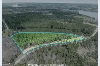 Lot 15T Hornets Bridge Drive, Elberton, GA 30635 - Photo 5