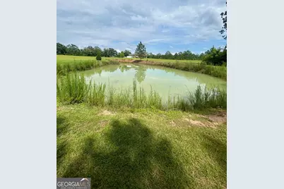 3858 Sapps Lake Rdn/A #N/A, Enigma, GA 31749 - Photo 5
