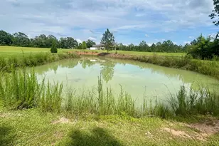 3858 Sapps Lake Rdn/A, Enigma, GA 31749 - Photo 5