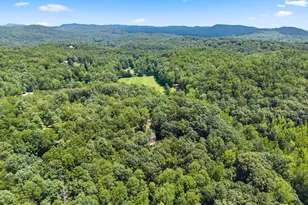 188 Marion Ln, Sautee Nacoochee, GA 30571 - Photo 63