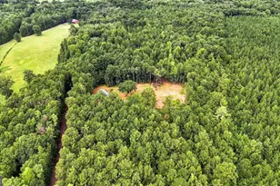 1050 Morgan Dairy Rd, Milner, GA 30257 - Photo 25