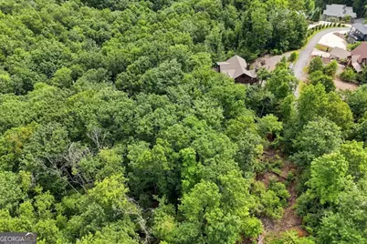 476 Deer Crest Road #23, Blue Ridge, GA 30513 - Photo 87
