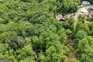 476 Deer Crest Rd, Blue Ridge, GA 30513 - Photo 87