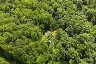 162 Delilah Ln, Lakemont, GA 30552 - Photo 43