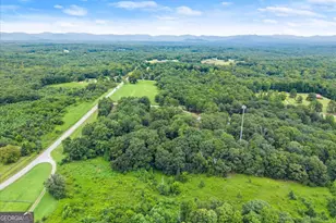 0 Tract 1A Dawsonville Hwy, Dawsonville, GA 30534 - Photo 7