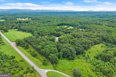 0 Tract 1A Dawsonville Highway, Dawsonville, GA 30534 - Photo 5