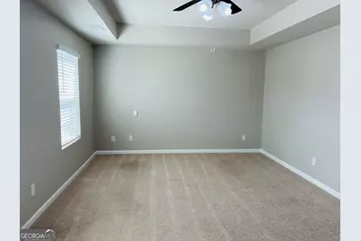 19 White Spruce Way, Newnan, GA 30265 - Photo 21