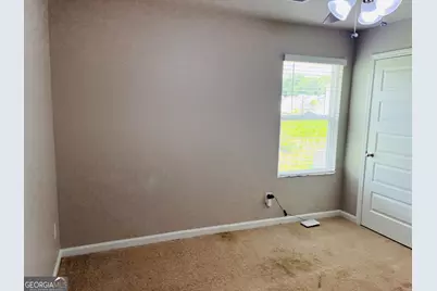 19 White Spruce Way, Newnan, GA 30265 - Photo 37