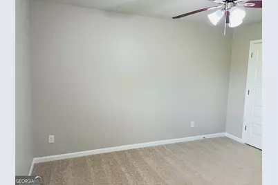 19 White Spruce Way, Newnan, GA 30265 - Photo 29
