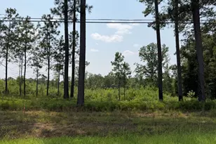 1130 Giles Rd, Forsyth, GA 31029 - Photo 1