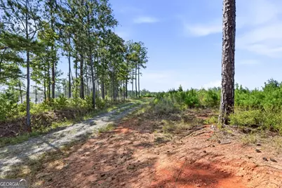 734 Giles Road, Forsyth, GA 31029 - Photo 25