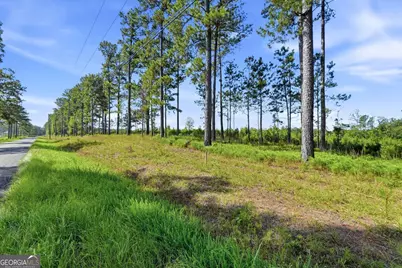734 Giles Road, Forsyth, GA 31029 - Photo 21