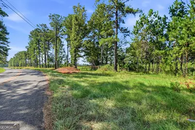 734 Giles Road, Forsyth, GA 31029 - Photo 19