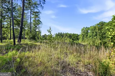734 Giles Road, Forsyth, GA 31029 - Photo 15