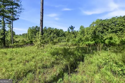 734 Giles Road, Forsyth, GA 31029 - Photo 17