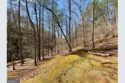 119 Cub Lane, Rabun Gap, GA 30568 - Photo 29