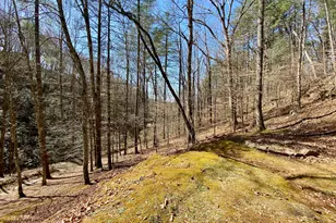 119 Cub Ln, Rabun Gap, GA 30568 - Photo 29
