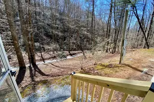 119 Cub Ln, Rabun Gap, GA 30568 - Photo 23