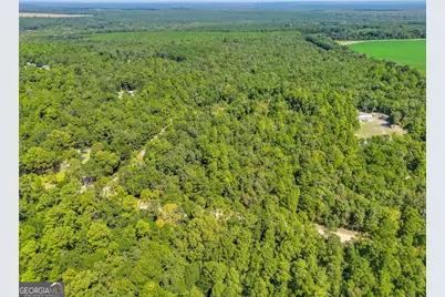 335 Allen Chapel Road, Waynesboro, GA 30830 - Photo 3