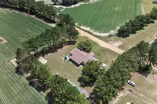 245 Alex Knight Rd, Brooklet, GA 30415 - Photo 51