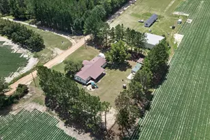 245 Alex Knight Rd, Brooklet, GA 30415 - Photo 49