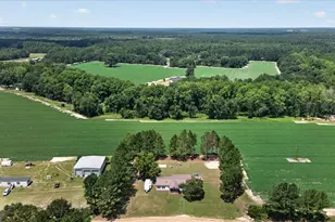 245 Alex Knight Rd, Brooklet, GA 30415 - Photo 47