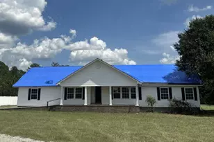 37154 Ga Hwy 23, Cobbtown, GA 30420 - Photo 1