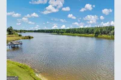 443 Lakeshore Road, Pelham, GA 31779 - Photo 11