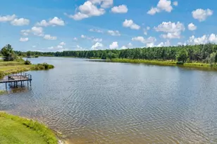 443 Lakeshore Rd, Pelham, GA 31779 - Photo 11