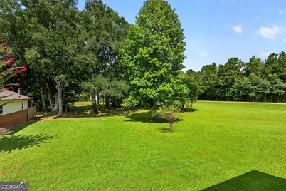 466 Bob Smith Road, Sharpsburg, GA 30277 - Photo 53