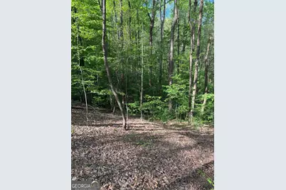 0 Mountain View Court, Ellijay, GA 30536 - Photo 5