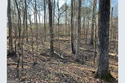 352 Woodville Philomath Rd, Rayle, GA 30660 - Photo 3