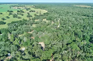 197 Blossom Ln, Reidsville, GA 30453 - Photo 37