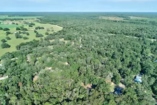 197 Blossom Ln, Reidsville, GA 30453 - Photo 35