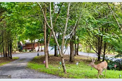 557 Grayce Lane, Hiawassee, GA 30546 - Photo 41