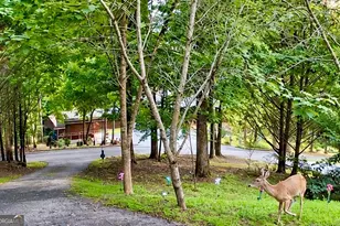557 Grayce Ln, Hiawassee, GA 30546 - Photo 41