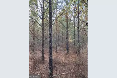 280 Woodville Philomath Rd, Rayle, GA 30660 - Photo 3